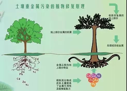 15种常见土壤地下水修复技术汇总